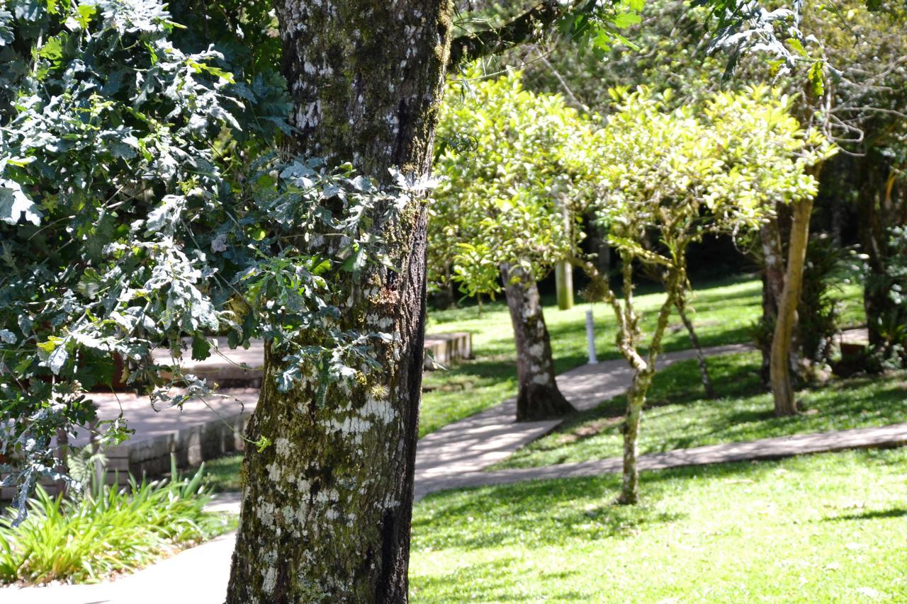 Hotel Pousada Dos Pinheiros Canela Zewnętrze zdjęcie
